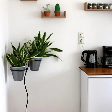 Apartment Ostria *